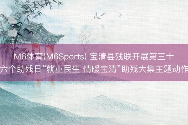 M6体育(M6Sports) 宝清县残联开展第三十六个助残日“就业民生 情暖宝清”助残大集主题动作
