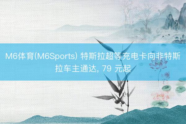 M6体育(M6Sports) 特斯拉超等充电卡向非特斯拉车主通达， 79 元起