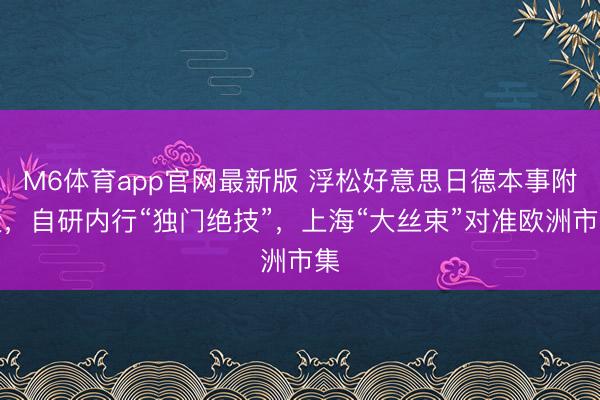 M6体育app官网最新版 浮松好意思日德本事附近，自研内行“独门绝技”，上海“大丝束”对准欧洲市集