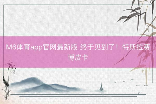 M6体育app官网最新版 终于见到了！特斯拉赛博皮卡