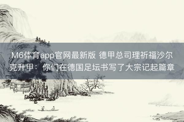 M6体育app官网最新版 德甲总司理祈福沙尔克升甲：你们在德国足坛书写了大宗记起篇章