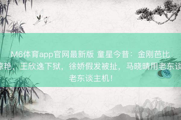 M6体育app官网最新版 童星今昔：金刚芭比复出惊艳，王欣逸下狱，徐娇假发被扯，马晓晴用老东谈主机！