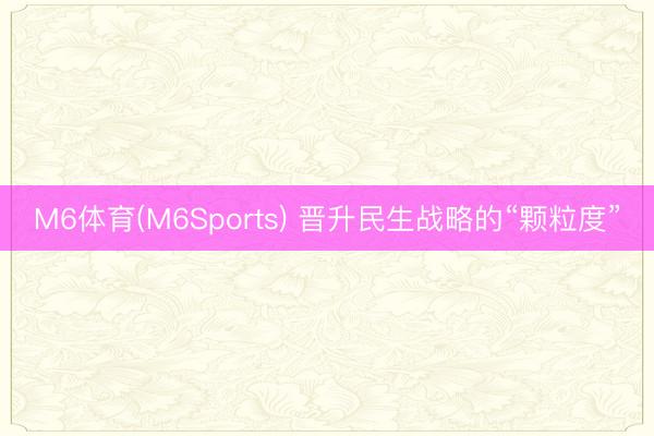 M6体育(M6Sports) 晋升民生战略的“颗粒度”