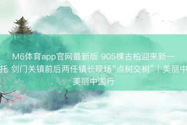 M6体育app官网最新版 905棵古柏迎来新一轮嘱托 剑门关镇前后两任镇长现场“点树交树”｜美丽中国行