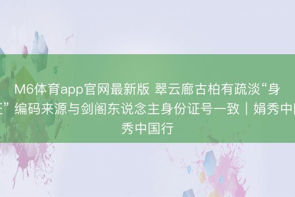 M6体育app官网最新版 翠云廊古柏有疏淡“身份证” 编码来源与剑阁东说念主身份证号一致｜娟秀中国行