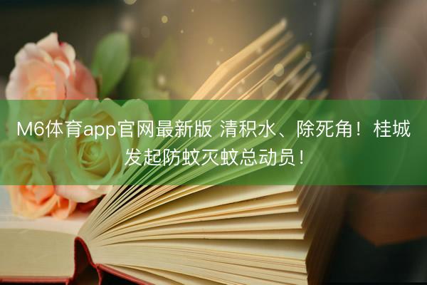 M6体育app官网最新版 清积水、除死角！桂城发起防蚊灭蚊总动员！